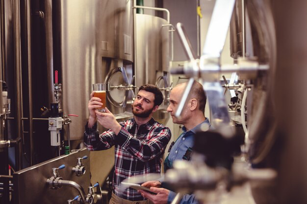 Two men looking at the color of beer