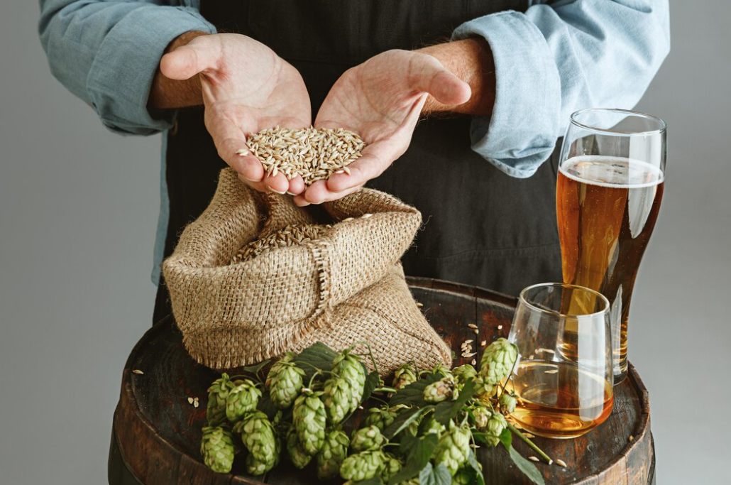 man brewer holds ears of wheat, glass of beer, and hops on a wooden barrel 